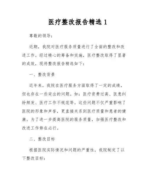 医疗整改报告精选1