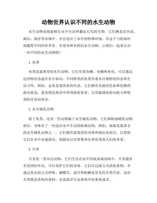 动物世界认识不同的水生动物