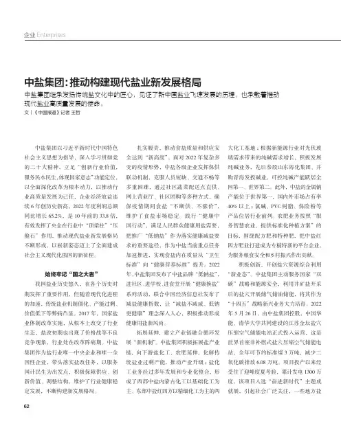 中盐集团：推动构建现代盐业新发展格局