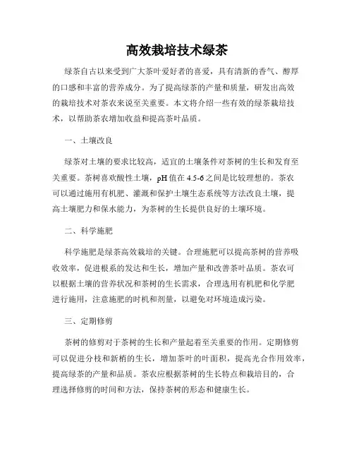 高效栽培技术绿茶