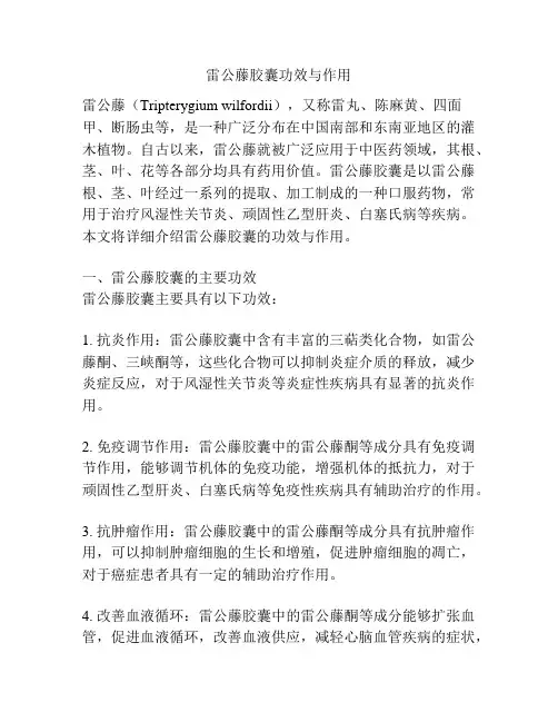 雷公藤胶囊功效与作用