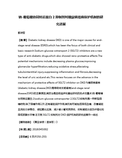 钠-葡萄糖协同转运蛋白2抑制剂对糖尿病肾病保护机制的研究进展