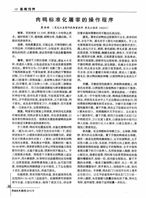 肉鸭标准化屠宰的操作程序