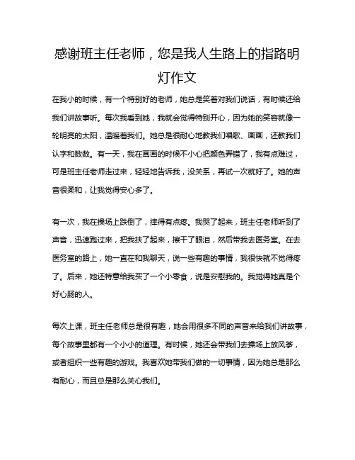 感谢班主任老师,您是我人生路上的指路明灯作文