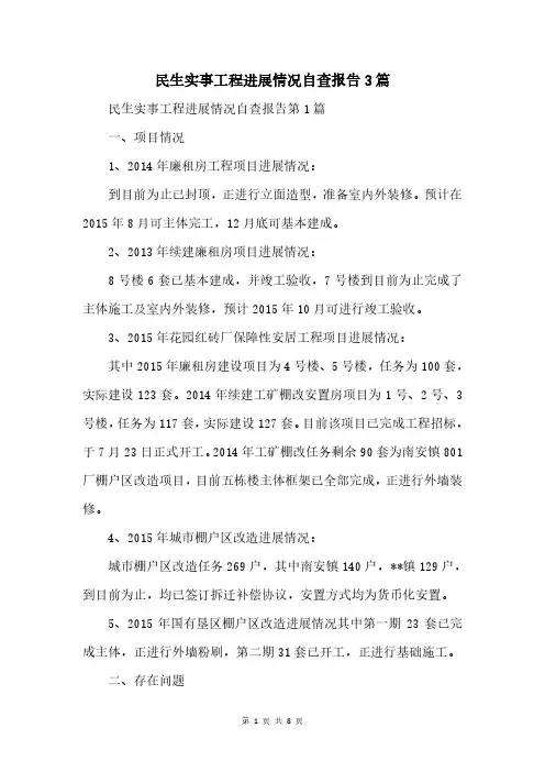 民生实事工程进展情况自查报告3篇