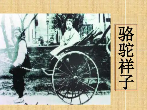 在烈日下和暴雨下之环境描写,名著导读阅读。骆驼祥子