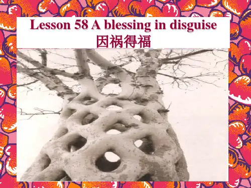 新概念二Lesson 58 A blessing in disguise