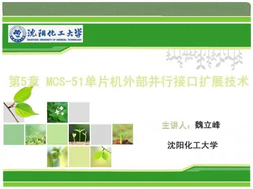 第5章 MCS-51单片机的外部并行接口扩展技术_存储器(20130320)
