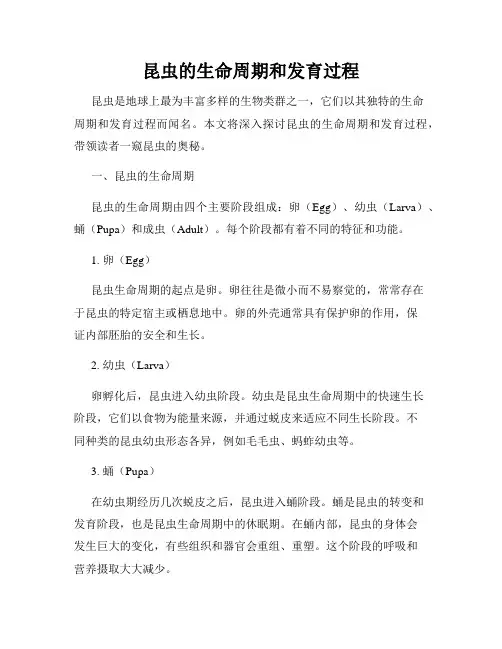 昆虫的生命周期和发育过程
