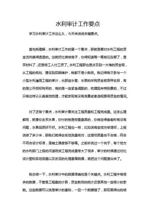 水利审计工作要点