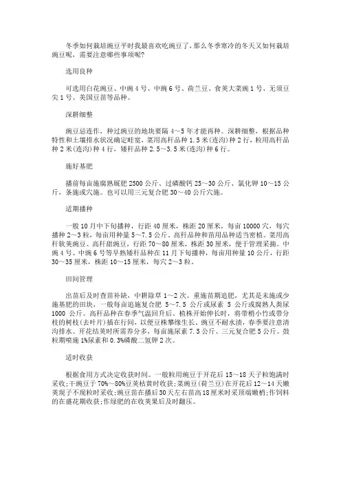 冬季如何栽培豌豆
