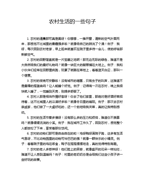 农村生活的一些句子