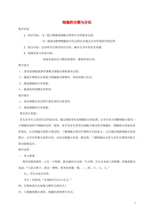 江苏省如皋市七年级生物下册 8.2细胞的分裂与分化教案 苏科版