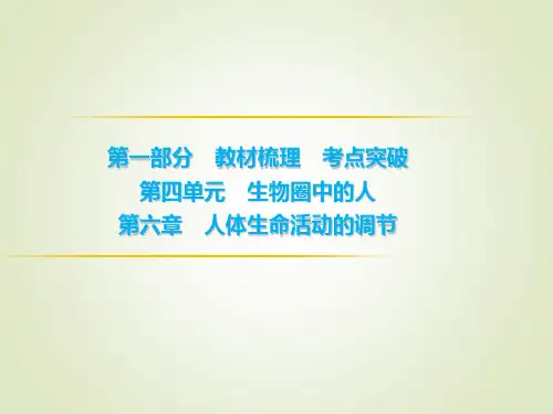 初中生物学业考试 神经系统的组成
