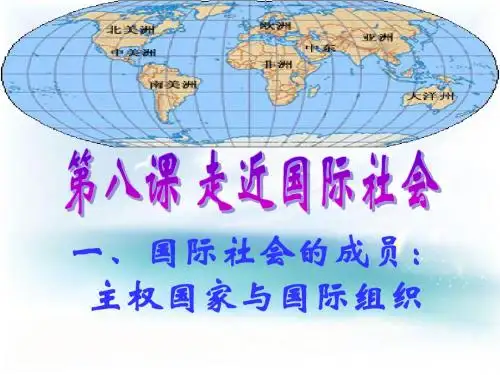 国际社会成员