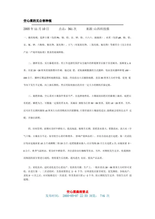 空心菜的无公害种植