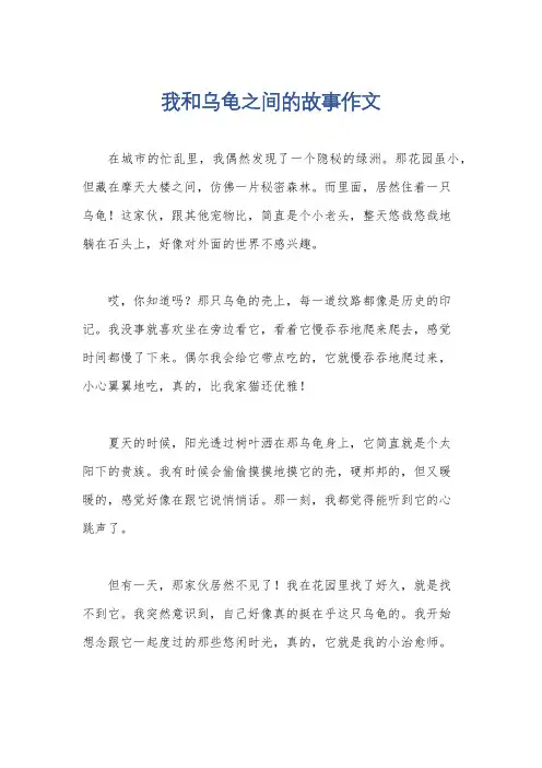 我和乌龟之间的故事作文