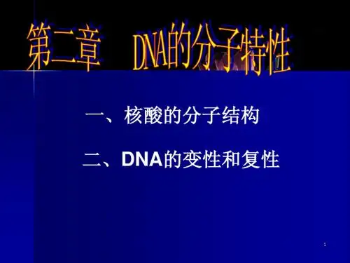 2第二章 DNA的分子特性