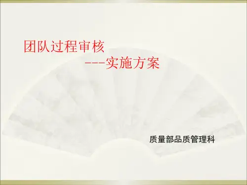 团队分层过程审核实施方案