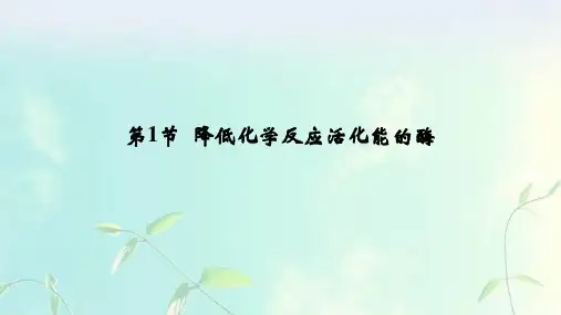 高中生物：探究酵母菌细胞呼吸方式和有氧呼吸与无氧呼吸的过程课件 人教版必修1