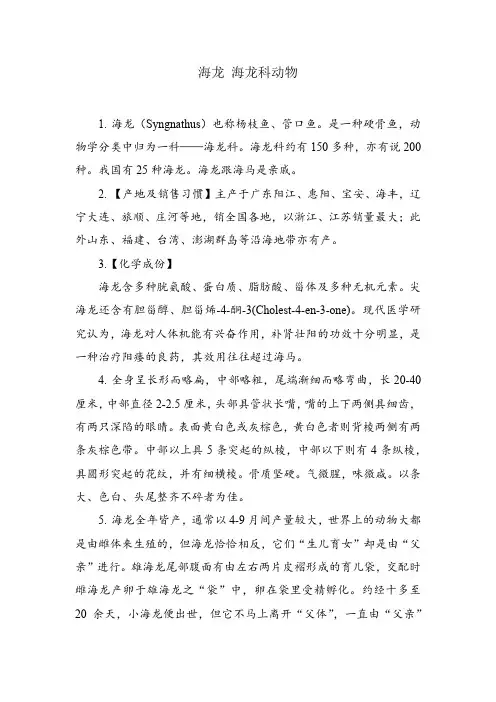 海龙 海龙科动物