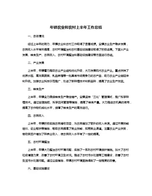年镇农业和农村上半年工作总结