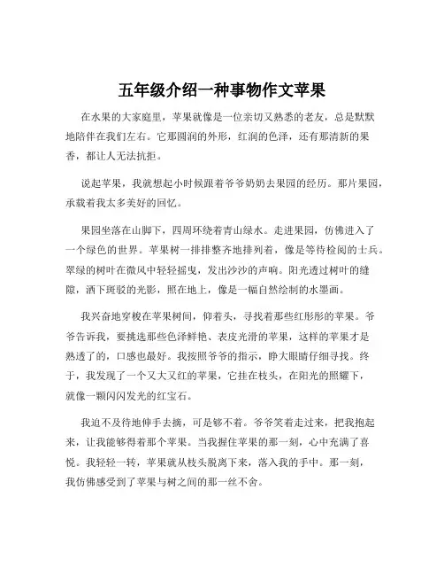 五年级介绍一种事物作文苹果