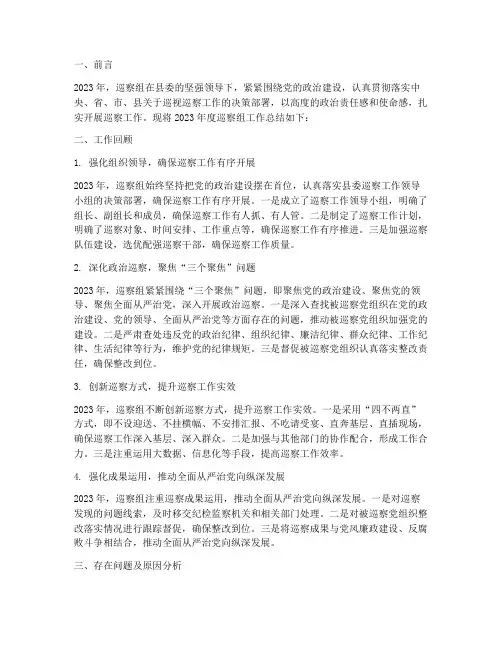 巡察组年度总结