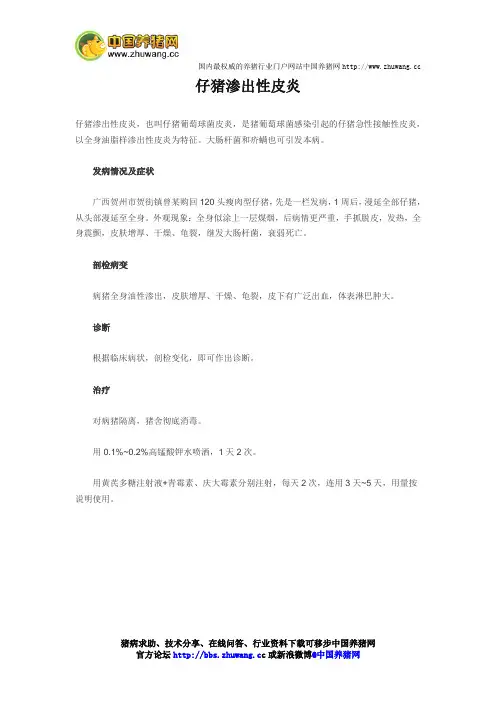 仔猪渗出性皮炎