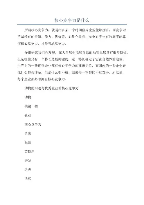 核心竞争力是什么