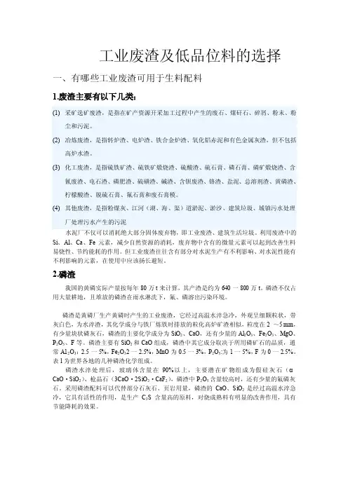 齐砚勇·工业废渣及低品位料的选择