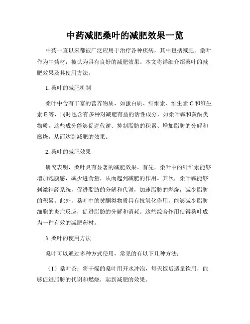 中药减肥桑叶的减肥效果一览