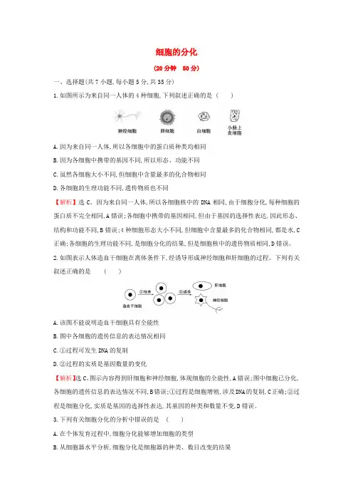 2020版新教材高中生物课时素养评价23细胞的分化(含解析)新人教版必修1