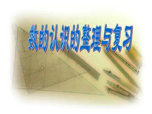 小学六年级《数的认识的整理和复习》建议