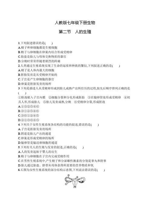人教版七年级下册生物第一章第二节人的生殖及答案
