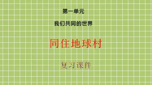 第一课 同住地球村 复习课件-部编版道德与法治九年级下册