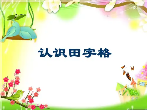 认识田字格