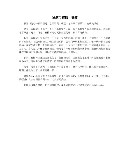 我家门前的一棵树