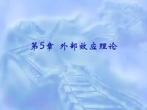 财政学5.外部效应理论