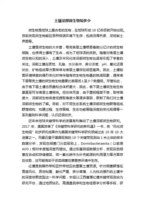 土壤深部微生物知多少