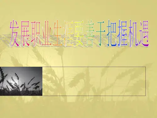 职业生涯规划——要善于把握机遇