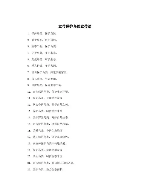宣传保护鸟的宣传语