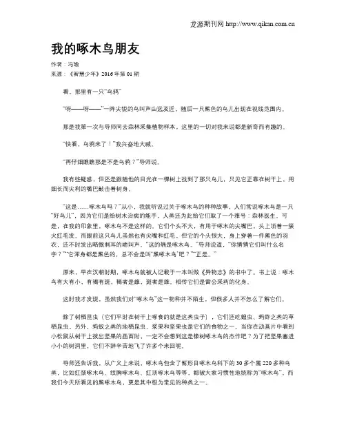 我的啄木鸟朋友