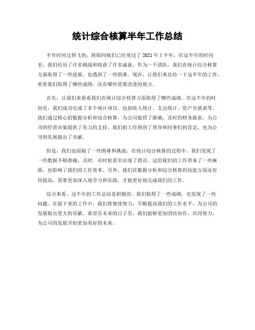 统计综合核算半年工作总结