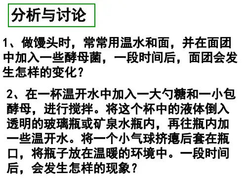 八年级生物发酵(PPT)5-4