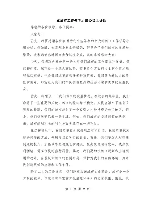 在城市工作领导小组会议上讲话