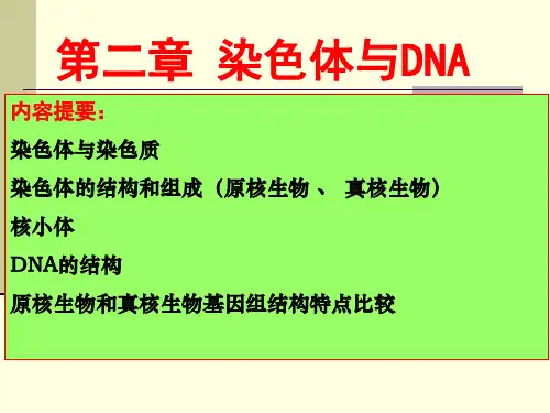 现代分子生物学-第二章 染色体与DNA
