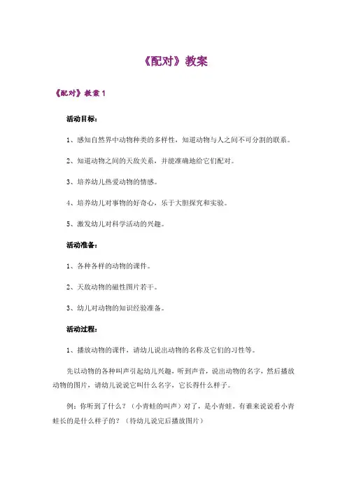 《配对》教案