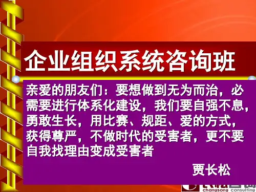 贾长松咨询班上课