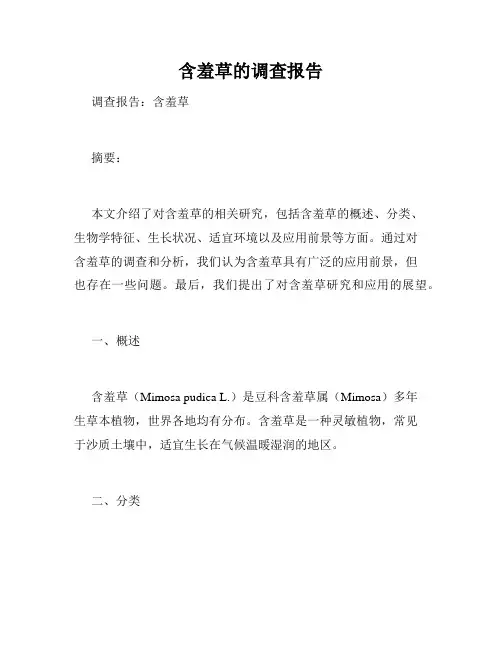 含羞草的调查报告
